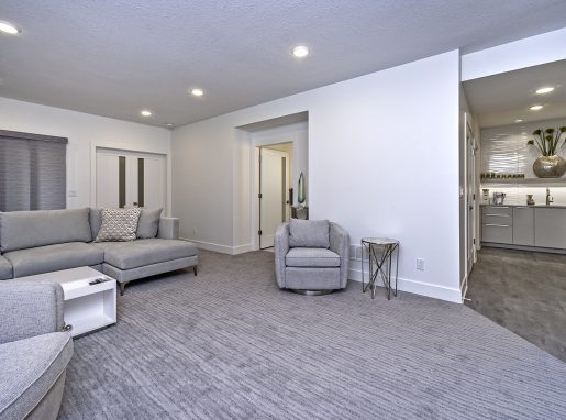 basement-renovation basement-renovation